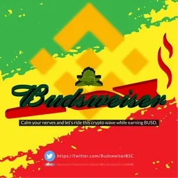 BUSDSER