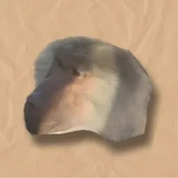POGI
