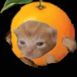 ROBERT