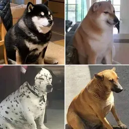 4CHEEMS