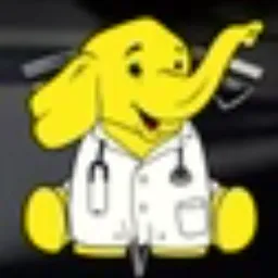 Dr. Elephant