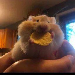 woofles