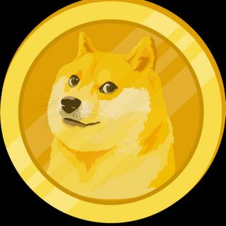 SAFEDOGE 