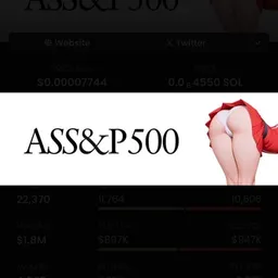 ASS&P 500
