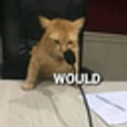 WOULD