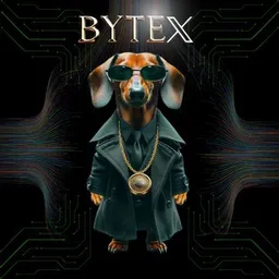 ByteX