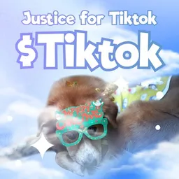 Tiktok