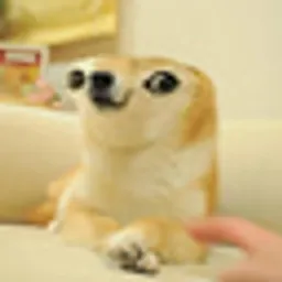 DOEG