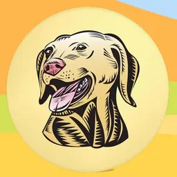 RhanDoge