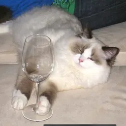 $BONKERS