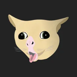 CATOKEN