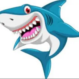 Shark