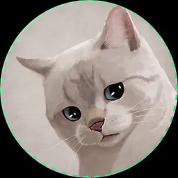 REKTY