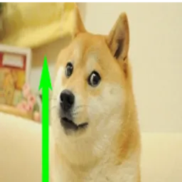 BDOGE