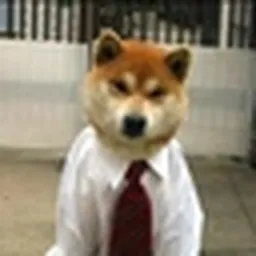 tie