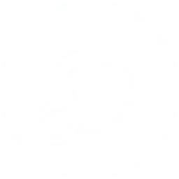 IRON