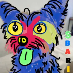Bari 