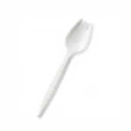 Spork