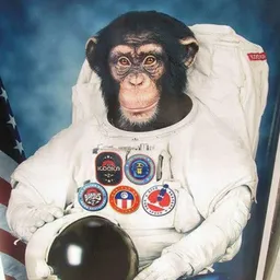 $GORDO
