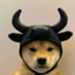 WIFBULL