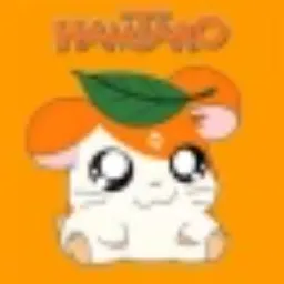 HAM