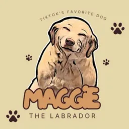 MAGGIE