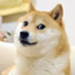 DOGE