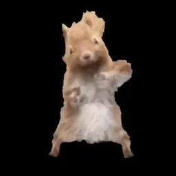 happypnut