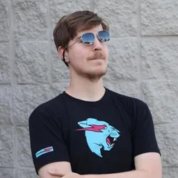 Mr.BeastCoin