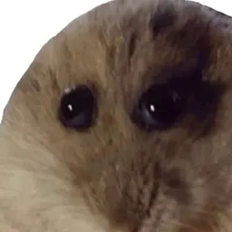 HAM
