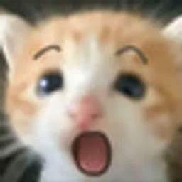 死对头