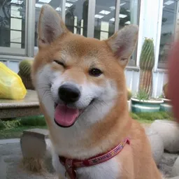 WINKY