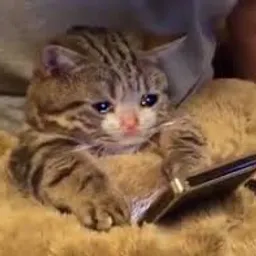 UGH