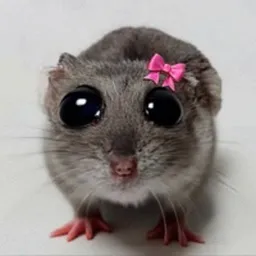 PWEASE