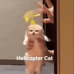HELICAT
