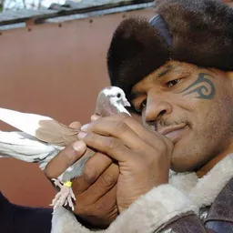 PIGEON