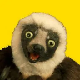 $Zoboomafoo