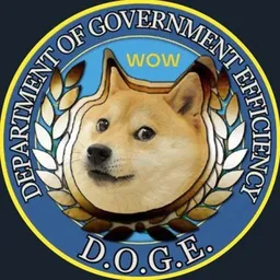 DOGE