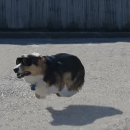 LOWDOG