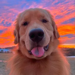 TITO