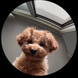 DIEGO
