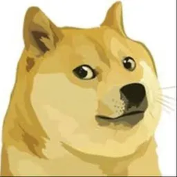 DOGEGOV