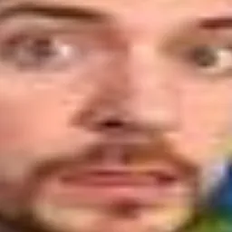 gBRADY