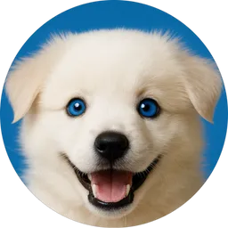 VIRDO