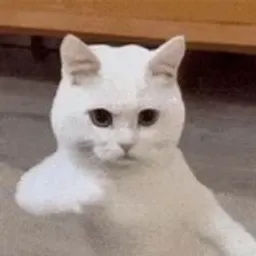 DCAT