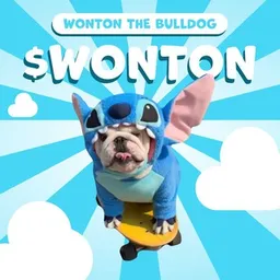 WONTON