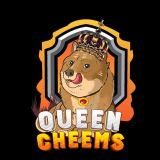 $QCINI