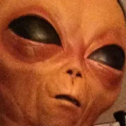 LILMAYO