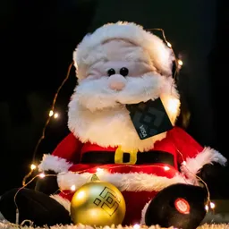 B-MAS