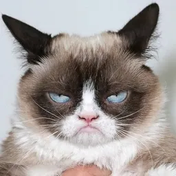 MeowMi